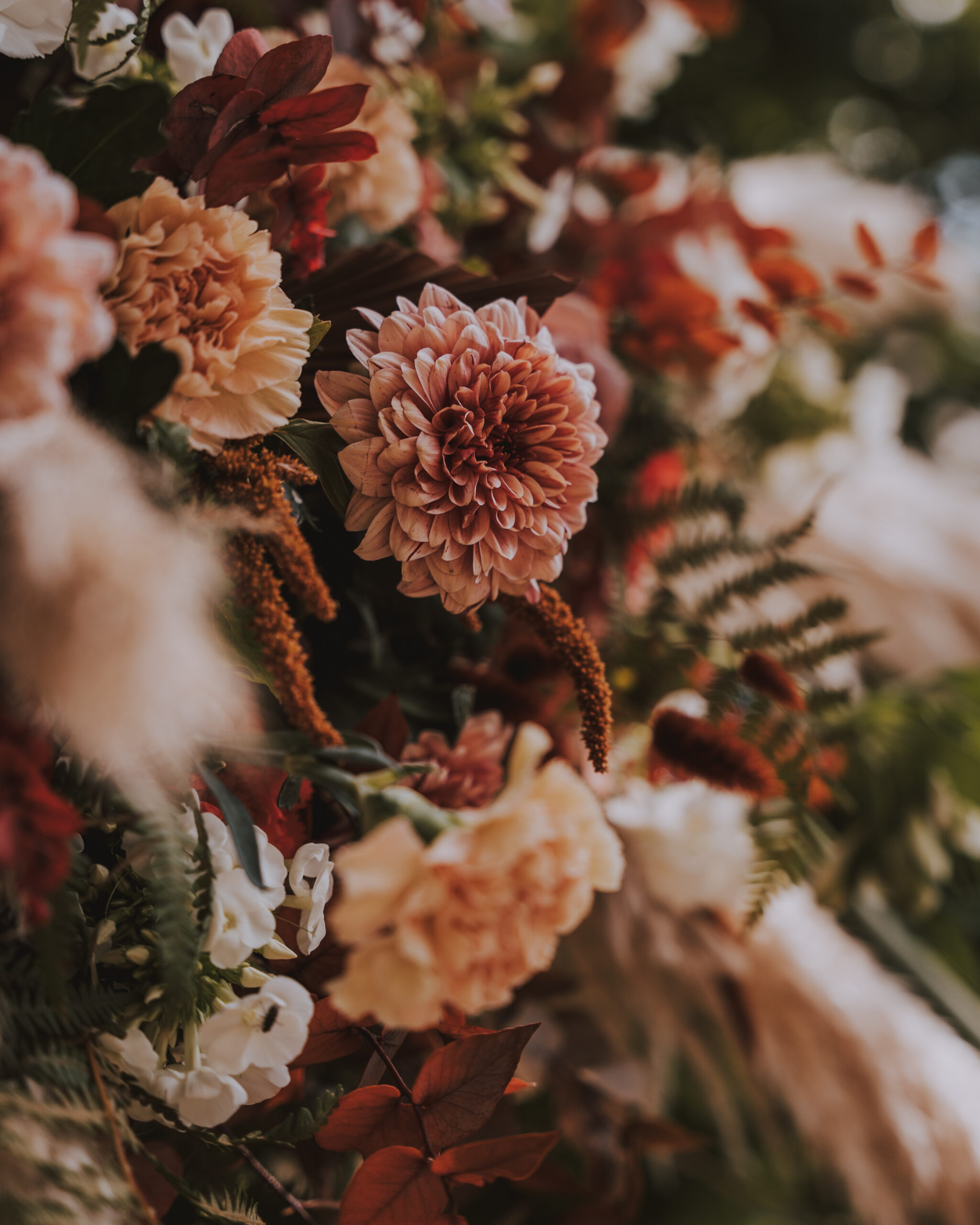 fleurs de saison et fleurs séchées été indien bohème 