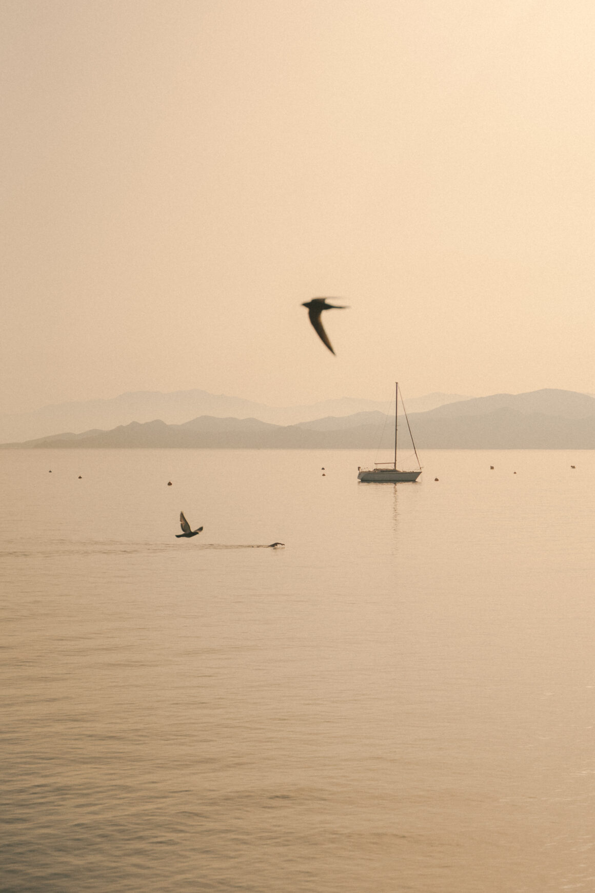 Photographe de paysage en Corse, vue minimaliste, esthétique et poétique d'un voilier à L'Île-Rousse (Corsica) en Méditerranée avec des oiseaux et un nageur.