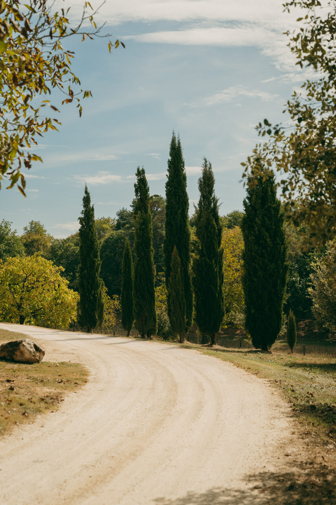 Allée de gravier bordée de cyprès et de végétation, serpentant dans le parc du Domaine de Lavernelle.